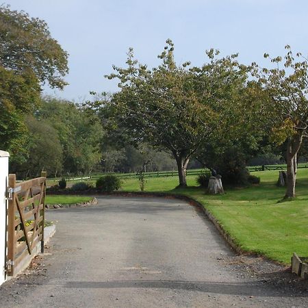 East Hook Farmhouse Pensionat Haverfordwest Eksteriør billede